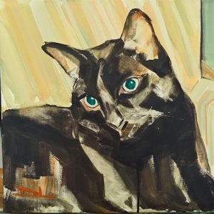 Schwarzer Kater II